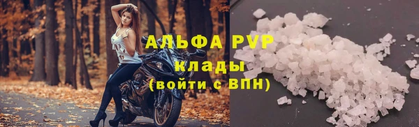 PSILOCYBIN Верея