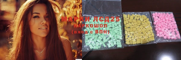 PSILOCYBIN Верея