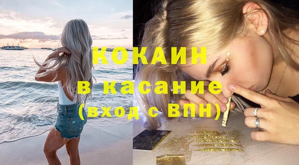 дурь Бородино