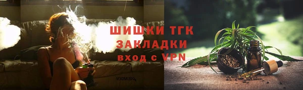 молекула духа Бронницы