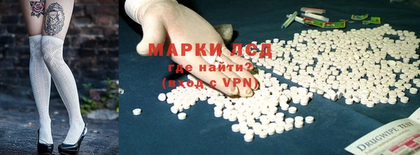 PSILOCYBIN Верея
