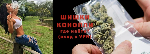 PSILOCYBIN Верея